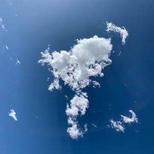 Meet your Posher, Katrina